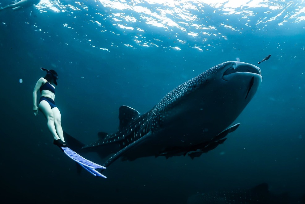 Archipelago Island Hoping, Zanzibar, Mafia & Pemba